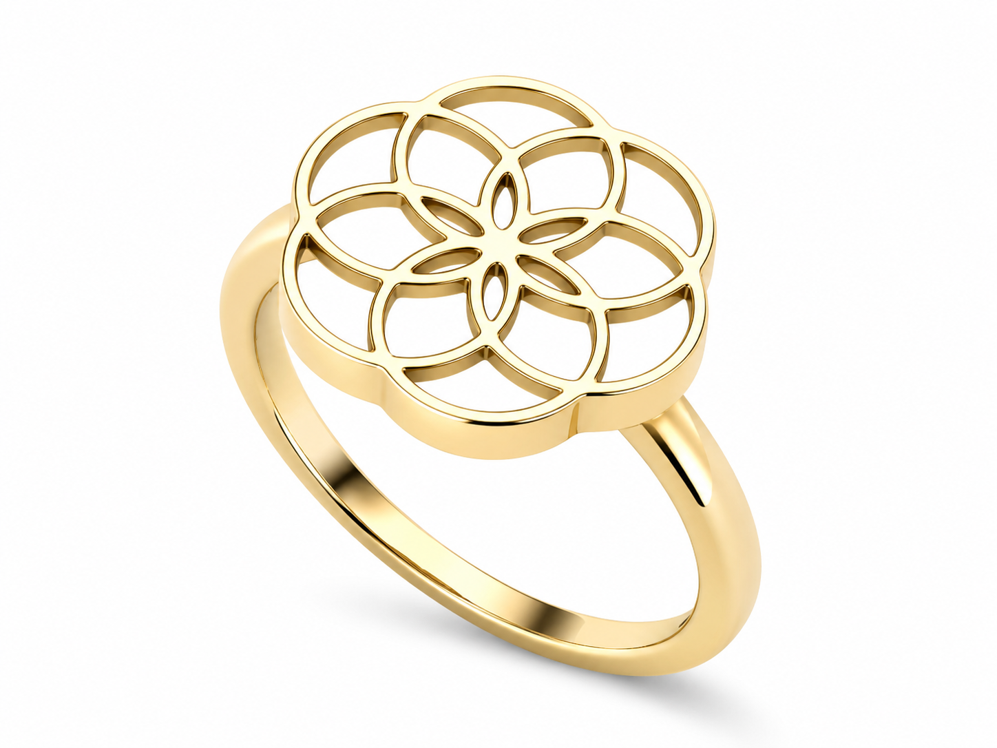 CIARA ring